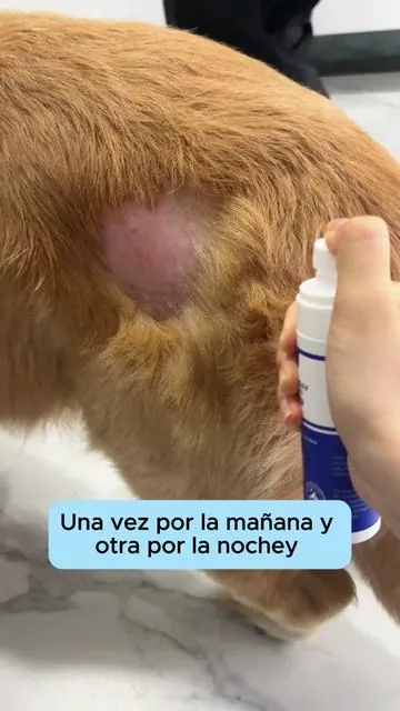 #pet #petsoftiktok #dogsoftiktok #dog #pethealth #petcare 