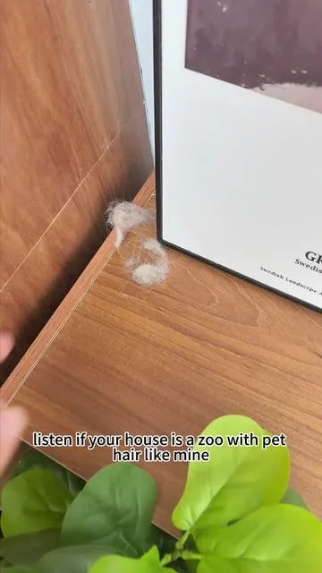 listen if your house is a zoo with pet hair like mine，this oneisoall pet hair purifier will just capture hair at a thin air！#FYP #tiktokshop #cat #Limitedtimeoffer #cattok #SpringGlowUp #AirPurifier #Summervibes #Petlovers #Petmonth