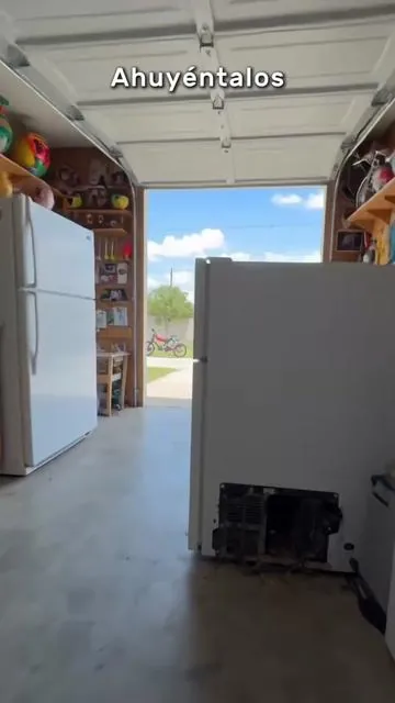 Simple, easy, and it actually works! * * #rodentrepellent #pestcontrol #mousetrap #naturalrepellent #TikTokRecommendations 