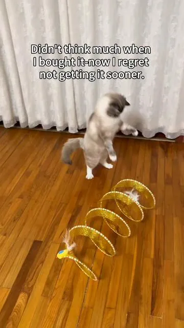 Unexpected #catsoftiktok #cattoys #pettoys #catlover #cat 