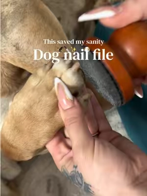 The easiest little hack for sharp nails #dogsoftiktok #dogmom #dogdad #dogmusthaves 
