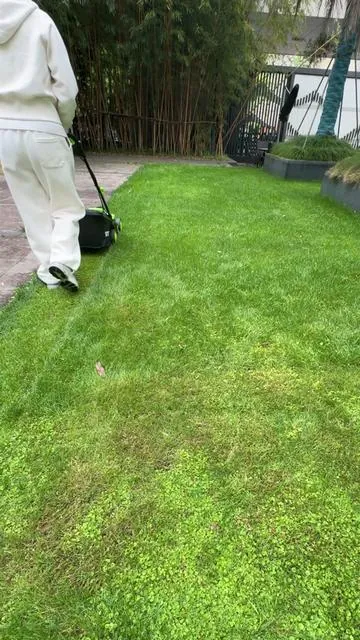 Ladies take my advice!#lawnmower #tiktoktools #springcleaning #yardcleanup #tools 