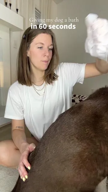 The easiest way to keep her clean @HICC Pet US #summervibes #petlovers 