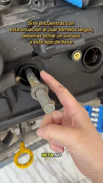 Dados ratchet pasantes: soluciona todos tus problemas de reparación.#summervibes #DadosPasantes #DadosRatchet #JuegoDeDadosProfesional #HerramientasDeBricolaje
