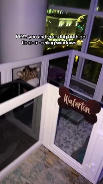 Sometimes he just sits in the corner and stares out the window 🤣🥹 playpen linked on the video 