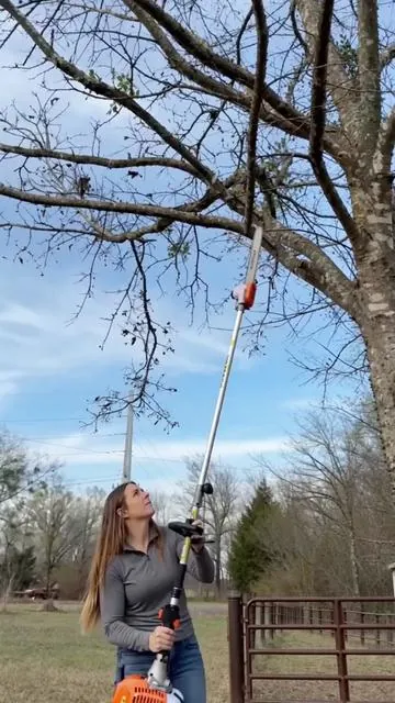 #VEVOR #MultiToolTrimmer #GasTrimmer #BrushCutter #Summervibes