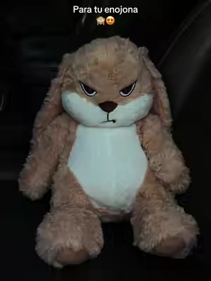 🥹🥰#plushies #peluche #TTSpringBeauty #novia #angrybunny 