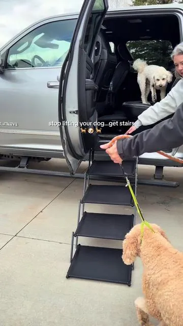 #tiktokshopstockup #dogstairs #dogsoftiktok #dogmom #dog 