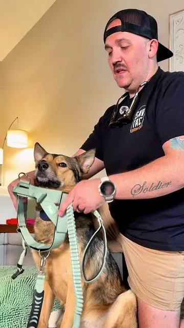 Only The Best For Whiskey #aestheticpetproducts #dogsupplies #petloversassemble #petparentstyle #tiktokshopcreatorpicks 