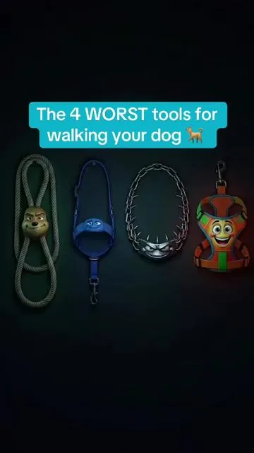 Is your dog a puller? This is the harness for stress-free walks! Unlike collars that can cause neck strain, our harness distributes pressure evenly across the chest and shoulders. You'll enjoy greater control of your dog—no more tugging or struggling 🐶  #dogharness #dogcollar #dogwalking #dogsoftiktok #resultsmayvary 