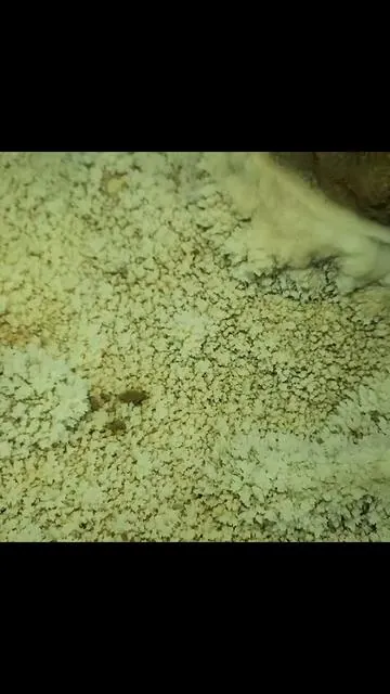 150ft deep hole leads to secret river cave 