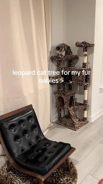 but how cute is this leopard cat tree hopefully this gets them off my couch #catsoftiktok #fyp 