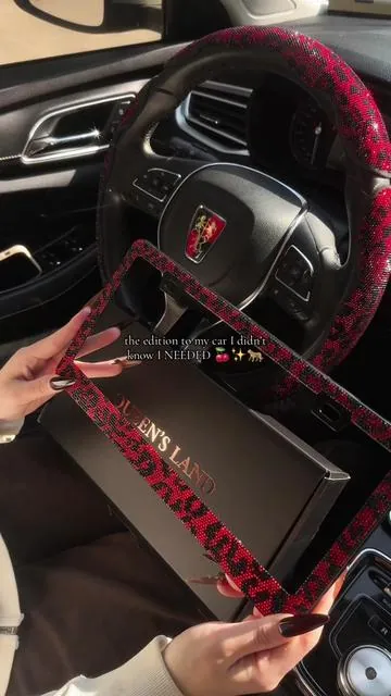 Oh you know I’m OBSESSED with this! ❤️✨🐆 #leopardprint #blingbling #licenseplateframe #cardecor #girlycaraccessories 