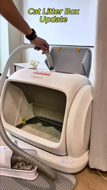My favorite upgrade for a cleaner cat home#automaticlitterbox #meowant #summervibes☀️ #petlovers #tiktokshop #Mother