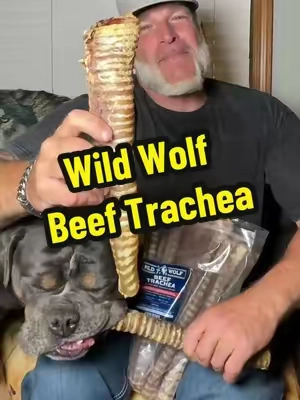 Wild Wolf 10-12” Beef Trachea (1 Pound) 100% Natural Dog Chew Treats #naturaldogtreats, #dogtreats, #petlovers, #summervibes, #tiktokshopcreatorpicks 