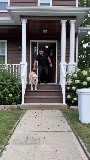 We almost brushed it off… until it kept happening.” #OurCares #SummerVibes #petlovers #petcare #doglife 