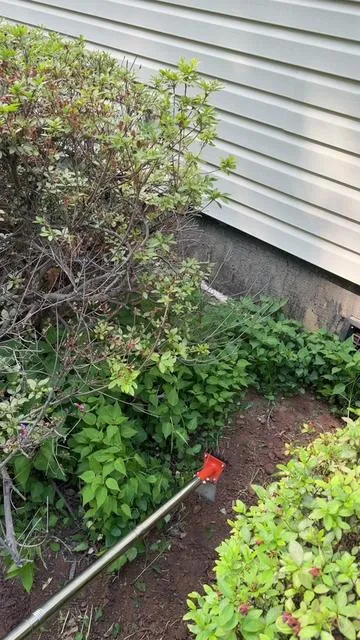 If you’re looking for a good gardening tool this year then check this thing out. #gardening #gardeningtool #yardwork 