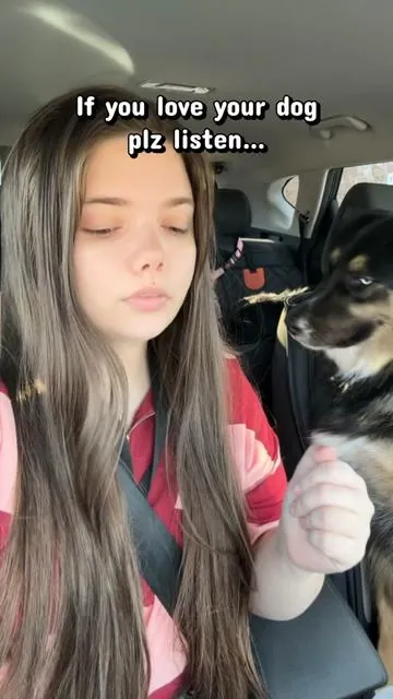 #dogownersoftiktok #dogcare #dogdentalcare #doghealth #roofus 