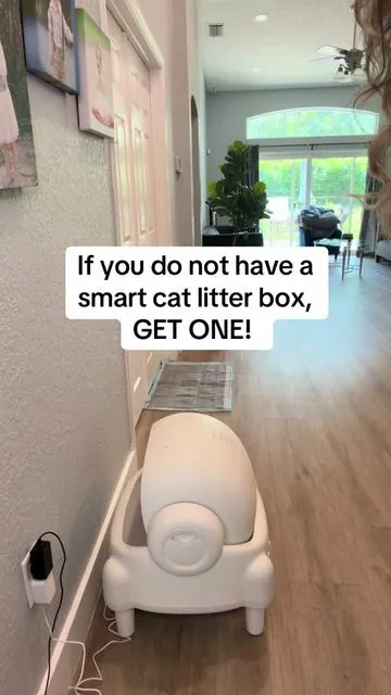 Vibes are better when the litter box cleans itself 😻☀️ Easy cleanup, less odor, and smarter pet care all in one. Your cat stays happy and your home stays fresh 🐾 #PetLovers #SummerVibes #PetLoversAssemble #catsoftiktok #cats 