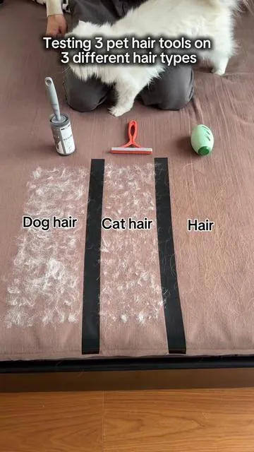 Testing 3 pet hair tools on 3 different hair types #pethairremoval #catsoftiktok #dogsoftiktok #tiktokshop #tiktokmademebuyit 