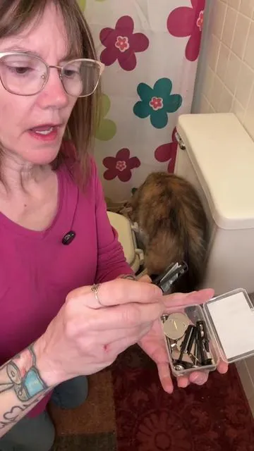 Toilet seat bolts. Universal fit. Wiggly toilet seat fix #diy #howtofixatoiletseat #toiletseatbolts #wigglytoiletseat #homeimprovement