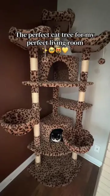 Making our house a home and loving every second of it 🥰  #homedecor #cattok #catlover #cattower #cattree 