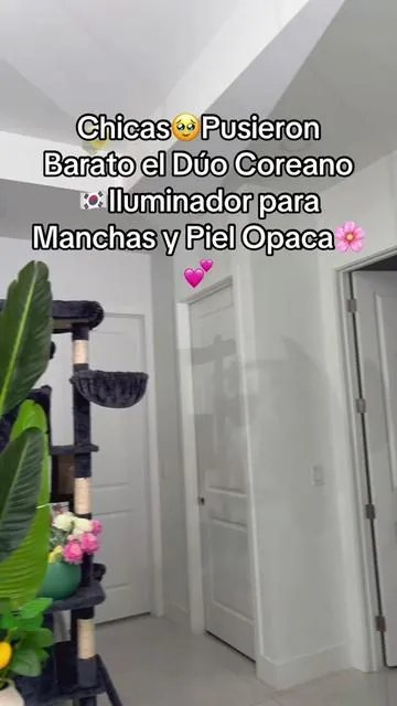 Duo Iluminador de Vitaminas Eqqualberry SkinCare Coreano SkinCare Coreano, Serum, Crema Hidratante, Vitamina C, Eqqualberry #tiktokcreatorpicks #SummerVibes #SkincareCoreanoEqqualberry #SerumCremaVitaminaC #CuidadoFacialCoreano Este kit de SkinCare coreano de la marca Eqqualberry combina un serum enriquecido con vitamina C, ácido hialurónico y hidratante, junto con una crema hidratante que contiene ceramidas, ácido ferúlico y glutatión. Ambos productos forman un set integral de cuidado facial que aplico diariamente mediante toques suaves, permitiendo que la fórmula con arbutina y ácido tranexámico se integre en mi rutina habitual de belleza. The information shared is for general purposes and does not replace personalized professional guidance. Offer availability may be subject to a limited time. The price shown may vary depending on promotions or availability.