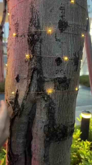 DIY your dream garden with these bendable fairy lights! 🧚‍♀️ The ultra-thin silver wire lets you wrap them around ANYTHING. 🌳 360° of pure magical glow. ✨ #diyhomedecor #fairylights #gardenmakeover #aesthetic #cozyvibes