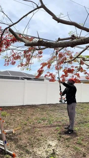 🔥 VEVOR 52CC 6 en 1 — ¡La herramienta definitiva para cortar, podar y limpiar el patio! 💪🌿 #VEVOR #VEVORTools #HerramientasVEVOR #WeedEater #JardineriaPro