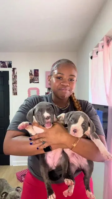What other vlogs do yall wanna see from meeee (the queen 😂) #teendiaries #fyppppppppppppppppppppppp #vlog 