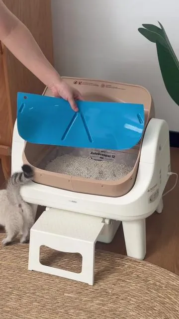 #petpivot #autoscooper #automaticlitterbox #petlovers #summervibes 