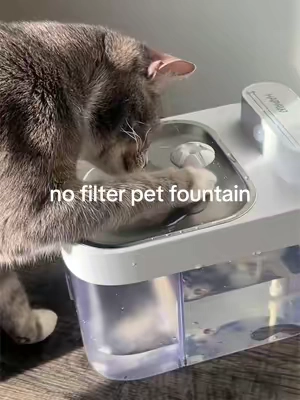 Most cat fountains just recycle dirty water. This one doesn't. No filters, fresh water daily, and my cat drinks more because of it. Linked Above! #tiktokshop #catfountain #catproducts #petgadgets #catowners 