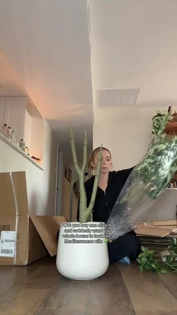 POV: you buy one olive tree and suddenly want your whole house to look like a Mediterranean villa 🌿✨ Olive trees just make a space feel calm, cozy, and expensive in the best way 👏 perfect for patios, entryways, kitchens, or adding that soft organic look to your home decor. Honestly one of my favorite ways to make a space feel instantly elevated 🤍 #olivetree #homedecor #homeaesthetic #cozyhome #modernfarmhouse SEO keywords: olive tree decor, artificial olive tree, home decor ideas, Mediterranean decor, modern farmhouse decor, indoor tree decor, cozy home aesthetic, neutral home decor, living room decor, organic modern style