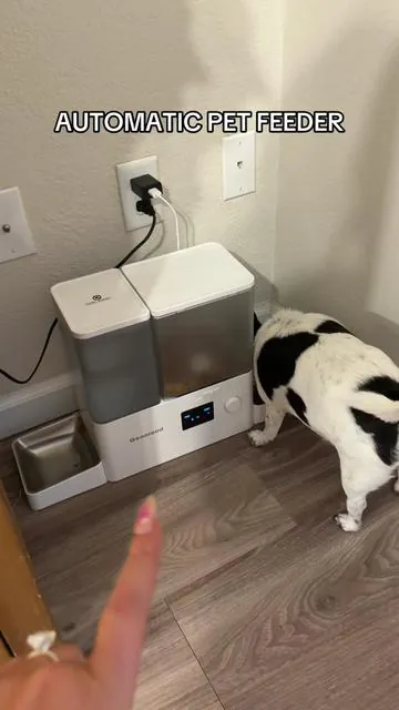 #pet #petfeederautomatic #automaticpetwaterdispenser #dogfood #catfood 