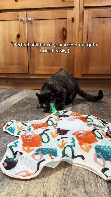 LOVED this free sample. Having an indoor cat means she gets bored sometimes, and I have to keep her entertained. That way she’s not trying to bolt toward the door every time it opens😭😭 #cattoy #freesample #tiktokshop #cats 