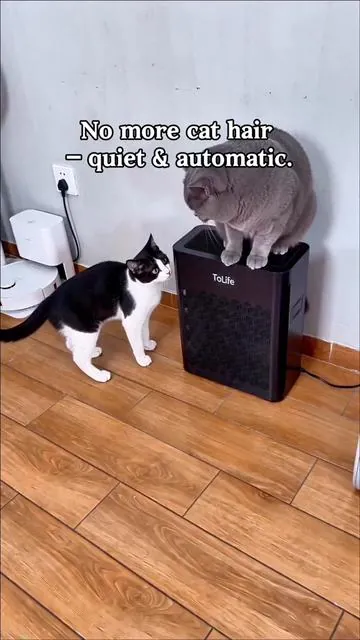 No more cat hair —quiet & automatic.#Airpurifier #infection #summerVibes 