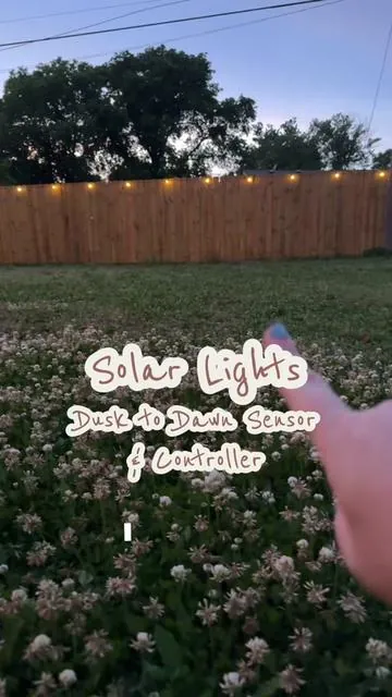 They are waterproof and shatterproof! They turn on automatically and are effortless for so much ambiance!  ##solarstringlights##solarlights##fencelights##backyardlighting##landscapinglights