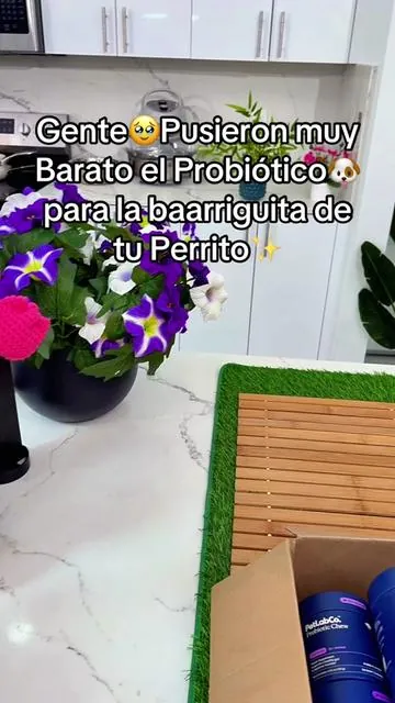 PetLab Co. Probióticos para Perros Masticables Suaves para Cuidado Canino. Probióticos para perros, Masticables para perros, Snacks para perros, PetLab Co. #tiktokcreatorpicks #SummerVibes #ProbioticosParaPerros #MasticablesSuavesCaninos #CuidadoCaninoPetLabCo. Estos masticables suaves contienen probióticos diseñados para perros mayores de doce semanas, presentados en un paquete de tres unidades. Cada snack tiene un sabor a cerdo que facilita su integración en la rutina diaria de alimentación, siendo una opción práctica para el cuidado habitual de la mascota. The information shared is for general purposes and does not replace personalized professional guidance. Offer availability may be subject to a limited time. The price shown may vary depending on promotions or availability.