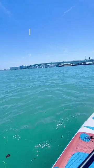 #tiktokshop #manatee #pubsub #summermashup #sup 