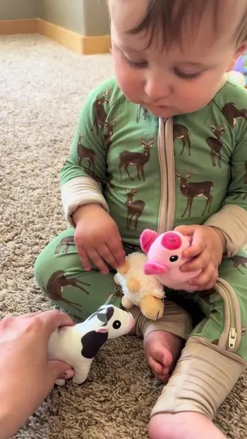 This guy loooves his new farm animal toy!!! I swear he tries to say moo. #babyboy #farmanimals #newtoy 