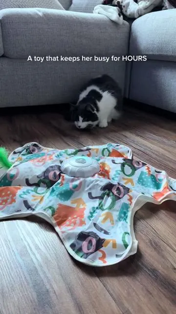Between the sound effects, feather, “tail” and movement, she cannot get enough!! 🤭🤭🤭 #cattoy #catsoftiktok #cats #interactivetoy #bird 