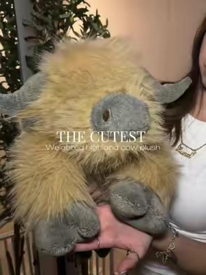 Literally the cutest 🐮! This one is the 4 pounds. #highlandcow #weightedstuffedanimal #weightedhighlandcow #giftideasforher #plush 