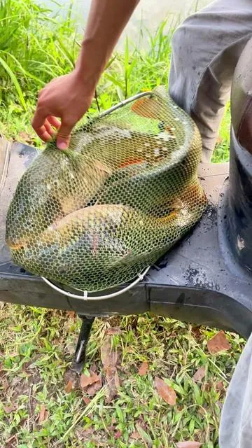 Kids VS fish storm🐟⚡️#fishing #underwatercamera #fishingcamera #familyfishing #fishfinder #coolgiftsformen #fathersday #men #tiktokshopping #fyp #outdoorkids 