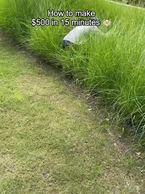 Is your lawn having health issues? Compaction and Bald Spots? Check out this lawn aerator!#lawn #lawncare #aeration #rifpod #lawnaerator 