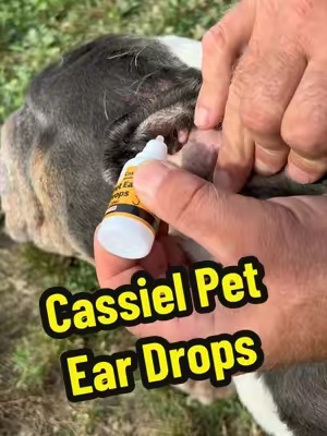 No More Dirty, Itchy or Infected Ears! Cassiel Pet Ear Cleaner Ear Drops for Dogs & Cats Ear Infection, Ear Mites Treatment #peteardrops, #petlovers, #TikTokShopMemorialDay, #DealsForYouDays, #SummerWins 