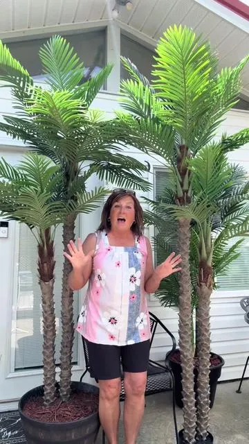 #palmtrees #palm #trees #summervibes☀️ #summerlooks 