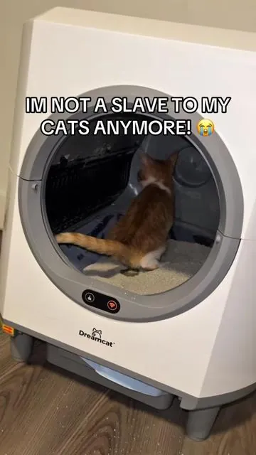 No more scooping poop for me! Thanks to this automatic litter box from @Dreamcat.Official #summervibes #petLovers #automaticlitterbox #catlitterbox #catsoftiktok 