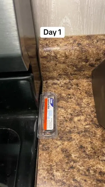It’s good for inside or outside and totally works! It does increase ant activity at first, but then totally clears out 🎉. #ants #homeownership #homeowner 