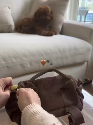 Got my mini gym bag to match my puppy so I can always be reminded of him no matter where I go 🤎🐾 #puppy #puppylife #minigymbag #ttsfinds #puppytok 