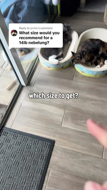 Replying to @ӄʏʀɨռ both can work but XL is probably better! #SummerVibes #tiktokshopmemorialday #petlovers #catscratcher #catbed 